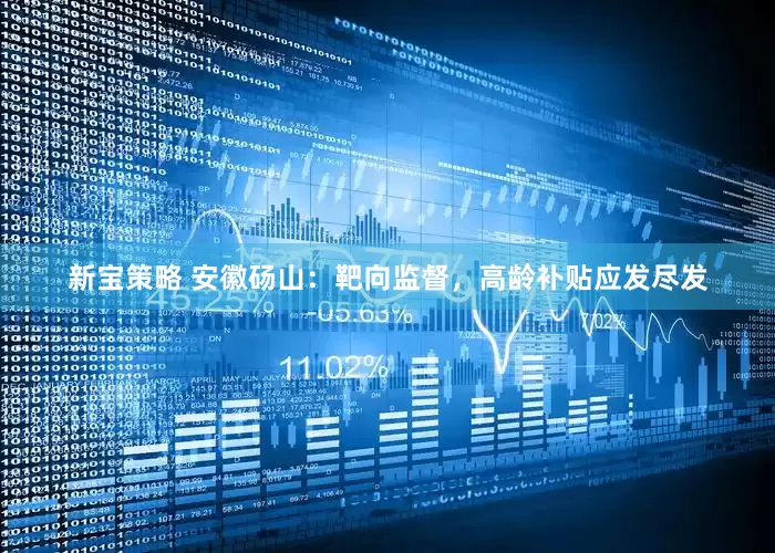 新宝策略 安徽砀山：靶向监督，高龄补贴应发尽发
