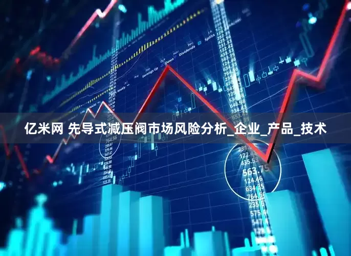 亿米网 先导式减压阀市场风险分析_企业_产品_技术