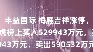 丰益国际 梅雁吉祥涨停,沪股通龙虎榜上买入529943万元,卖出590532万元